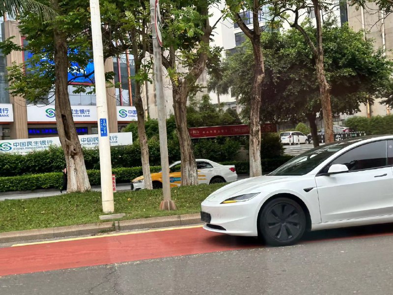 野生的 Model 3 Highland🐱配图