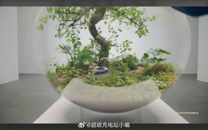 给欧洲人开中式发布会示范课吗？配图