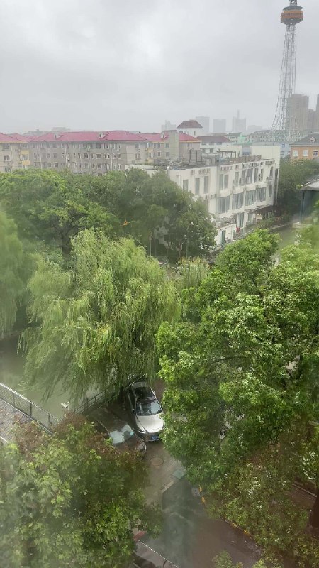 沉浸式感受一下「贝碧嘉」的威力[衰][衰]视频封面