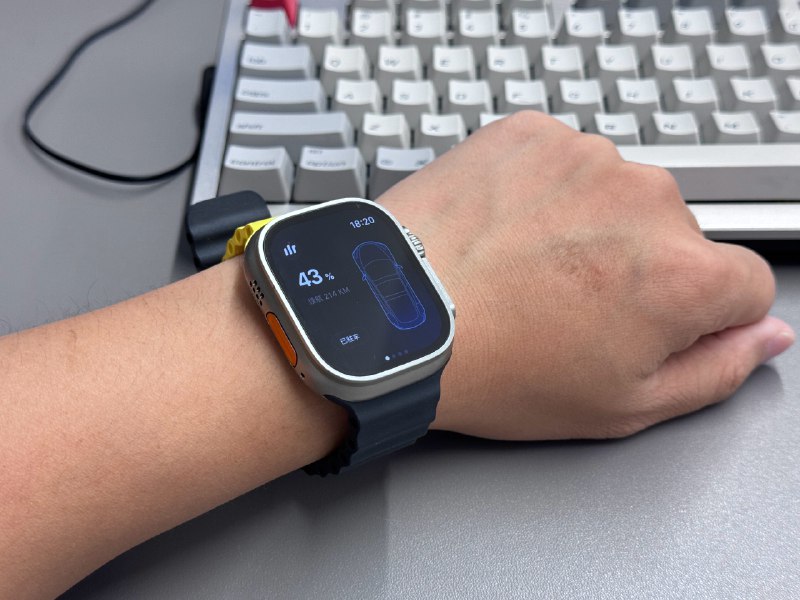 预告一下，小特App For Apple Watch 网络版配图