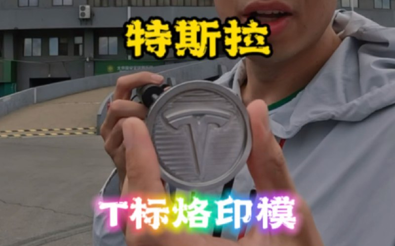 花480买特斯拉【T标烙印模】是一种怎样的体验？配图