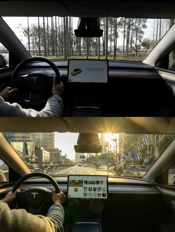 RT Tesla Asia配图