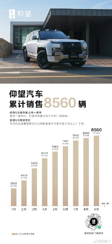 仰望上市一年,累计交付 8560 辆,你觉得这个成绩怎么样?配图