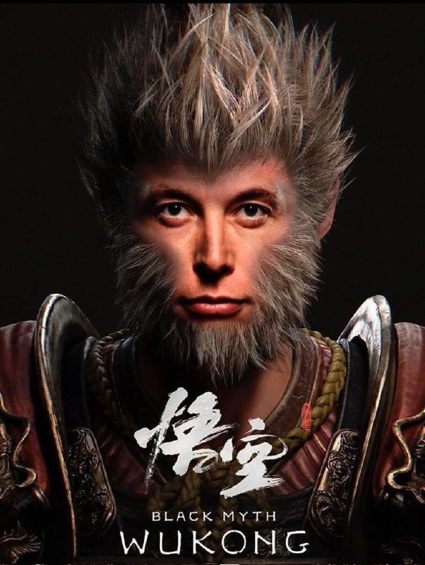 有一家是L,还有一家是谁?🐱配图