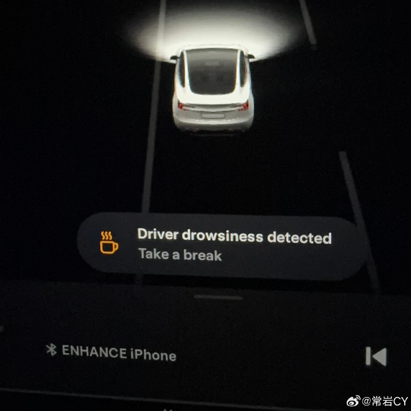 特斯拉DMS立功了，小眼睛又要面临新考验了[二哈]配图
