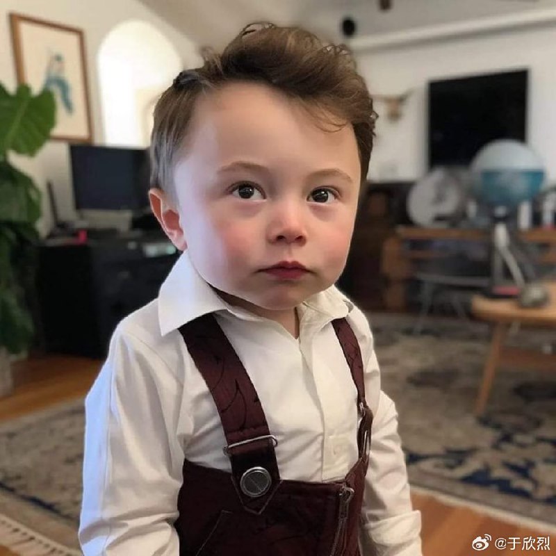 马斯克创造了或者说重新定义了一个词：初级通用人工智能（Baby AGI）。他认为特斯拉的 AI 系统达到了初级通用人工智能的水平。（之前有个 AI 工具叫 BabyAGI）配图