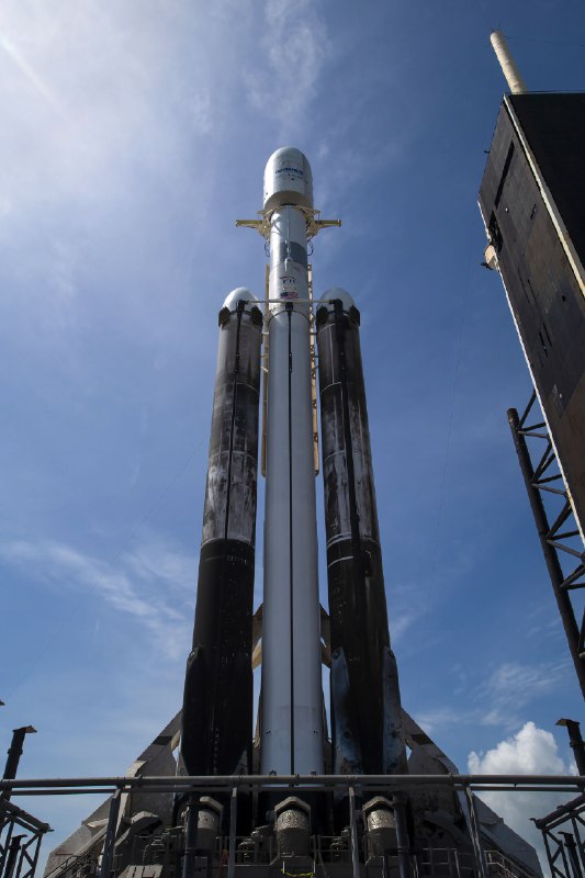 RT SpaceX配图