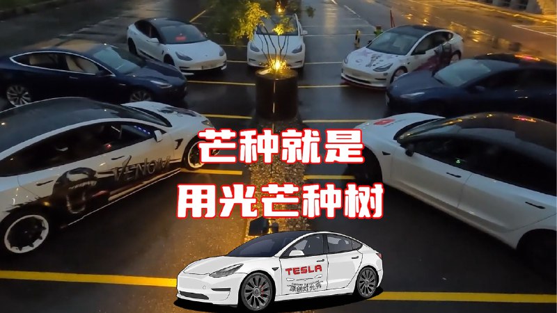 #芒种# 时节到🌾耕种美好，做个心中有光的人🌟#LightWithTesla#配图