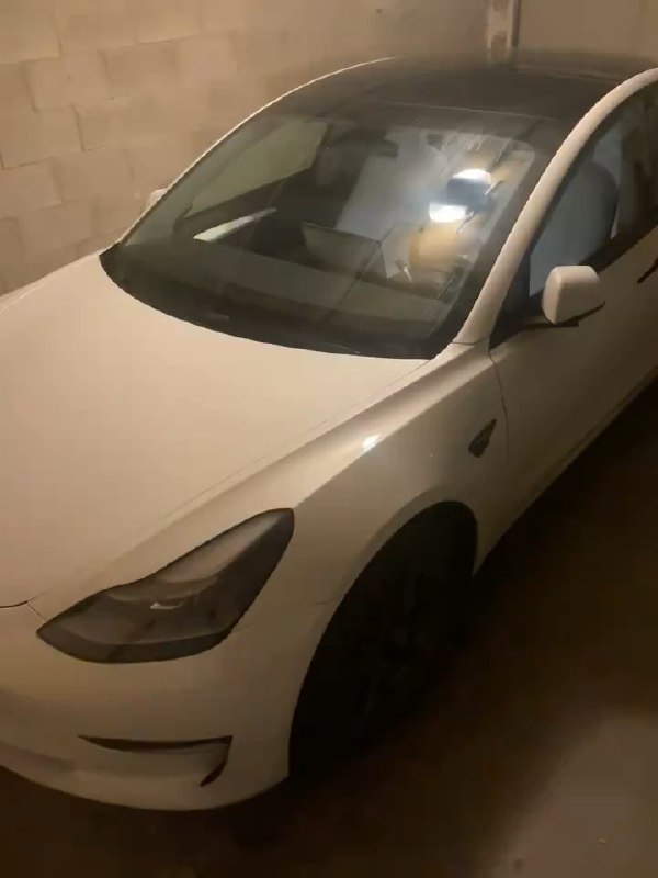 特斯拉圣诞更新加入的这个可自定义警示音功能有点狠啊。配图