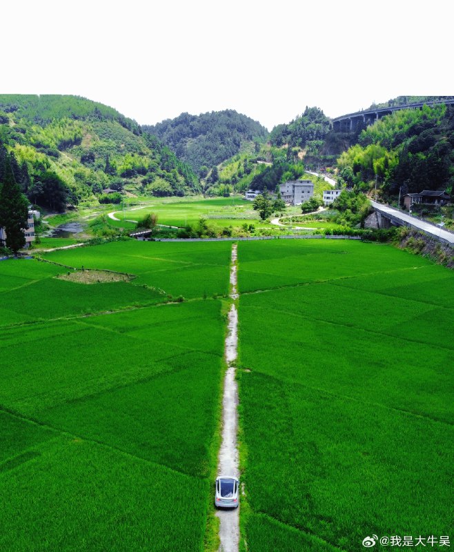 只此青绿，泉州绿野仙踪露营地心动了[哇] 快来分享你的旅行目的地！#无忧充电 自在随行#配图