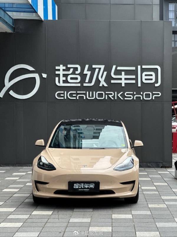 这颜色比前两天的撒哈拉沙漠黄更深一些，偏焦糖色～可以🐱配图