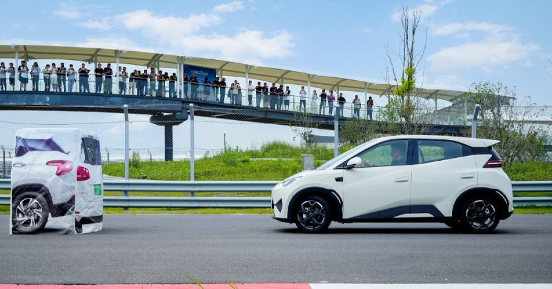BYD 为“上帝之眼”事故承担无限责任配图
