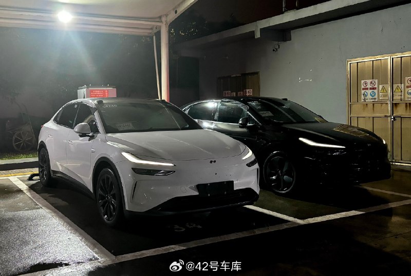 黑色和白色的乐道 L60，大家觉得哪个更好看？配图