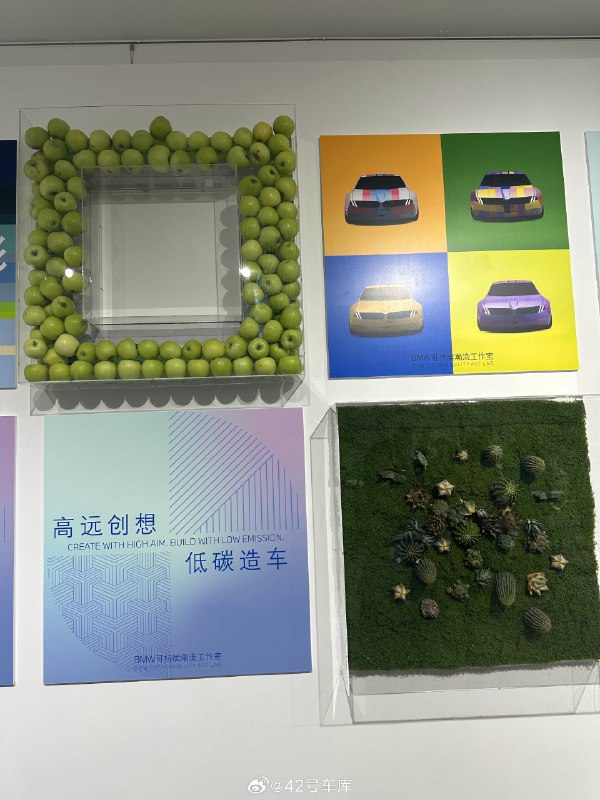 宝马在可持续发展峰会现场放了一些苹果和仙人球。配图