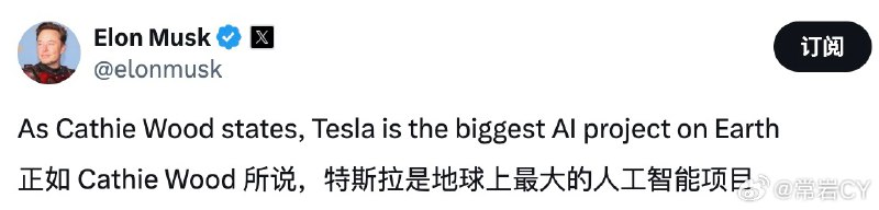 马斯克：特斯拉是地球上最大的人工智能项目。配图
