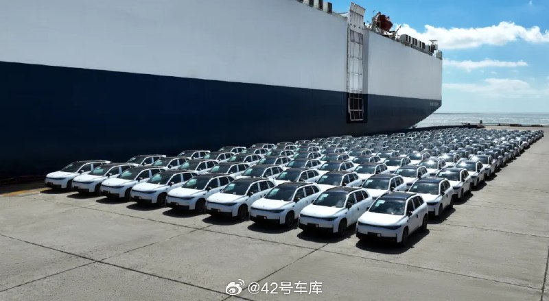 根据零跑的官方消息，零跑国际，一家由 Stellantis N.V. 和浙江零跑科技股份有限公司以 51%：49% 股比成立的合资公司，本月已将首批零跑 C10 和 T03 电动汽车由上海港发往欧洲。配图